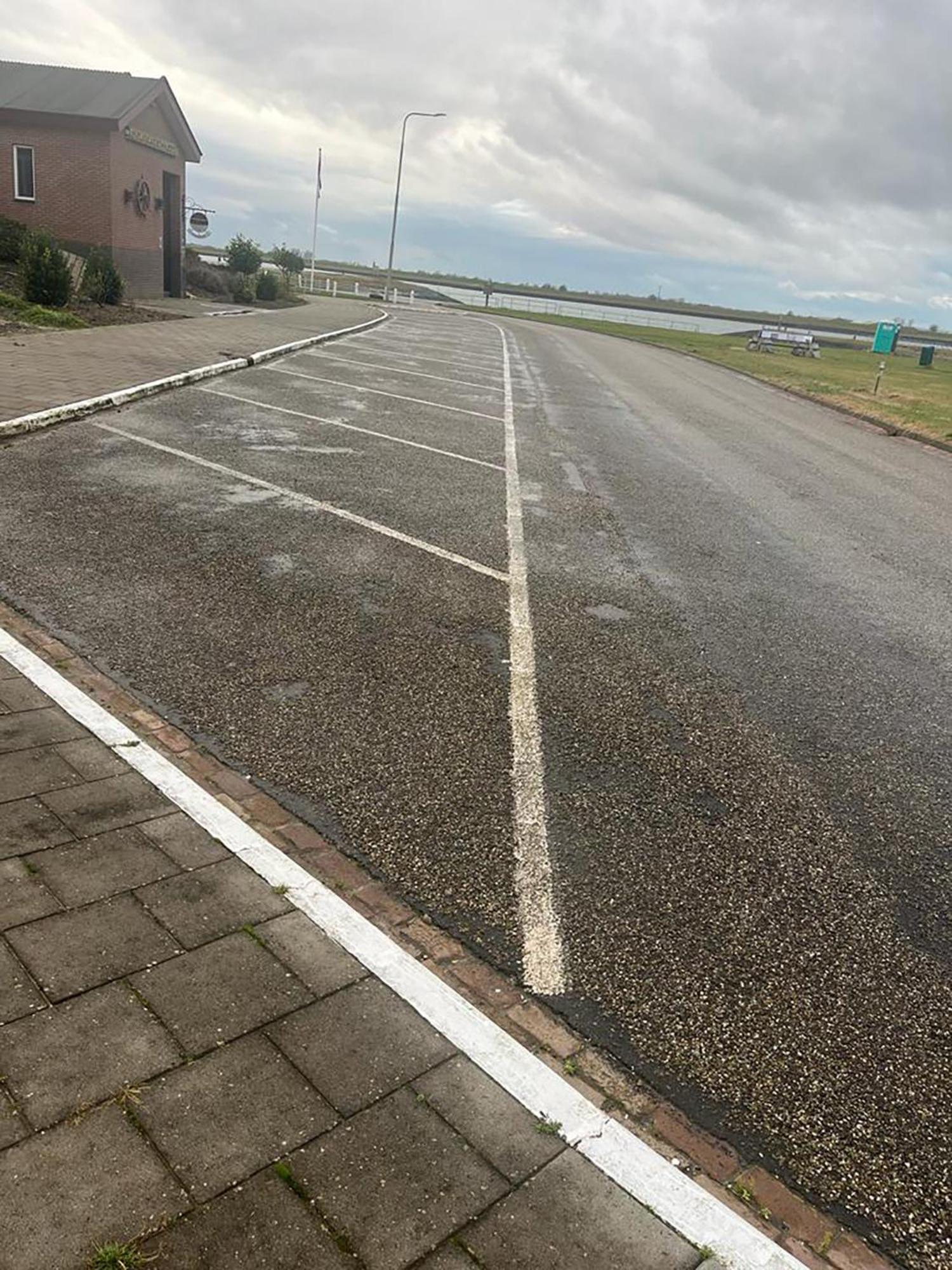 Oosterschelde 3*